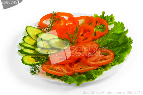 Image of cucumbers tomatoes tasty sliced salad plate isolated on white ba