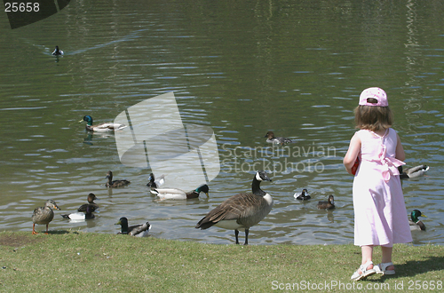 Image of young girl feeds the birds