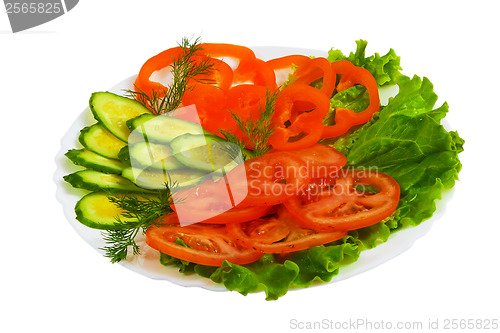 Image of cucumbers tomatoes tasty sliced salad plate isolated on white ba