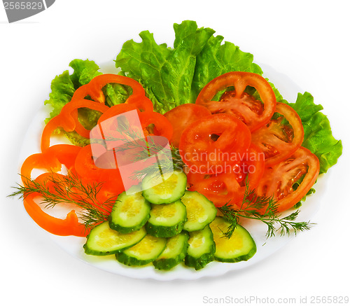 Image of tomatoes cucumbers sliced salad plate isolated a on white backgr