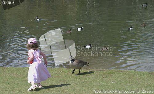 Image of young girl feeds birds