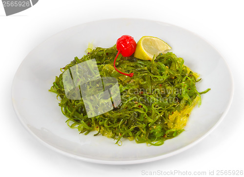 Image of green algae seaweed  isolated on white background