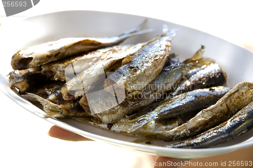 Image of sardines