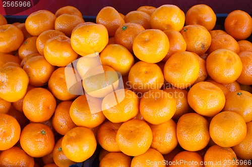 Image of group tangerines yellow background