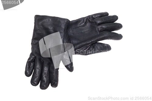 Image of black pair leather gloves