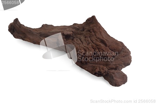Image of brown aquarium piece of an old tree isolated on white background
