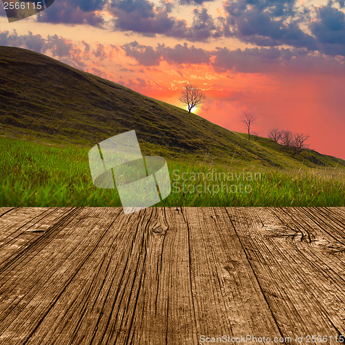 Image of lonely tree on the hill the sky and the meadow texture wood 
