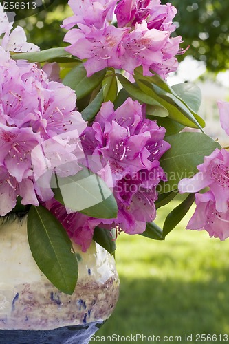 Image of Flowers and vase