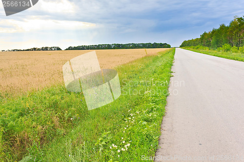 Image of Russian landscape road next to the wheat field