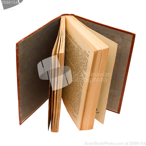 Image of old open book stands vertically isolated on white background (cl