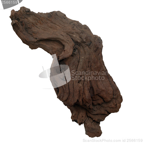 Image of piece brown old tree isolated (clipping path)