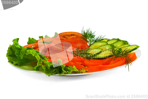 Image of cucumbers tomatoes sliced tasty salad plate isolated on white ba
