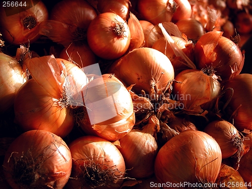 Image of onions texture