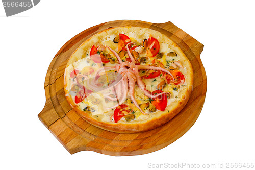 Image of Pizza seafood tasty octopus on white background (clipping path)