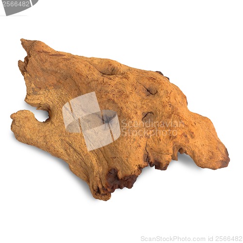 Image of brown piece of an old tree isolated on white background