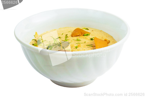 Image of mushrooms soup food plate isolated on white background clipping