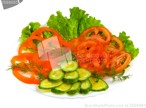 Image of tomatoes cucumbers sliced?? salad plate isolated on white ba