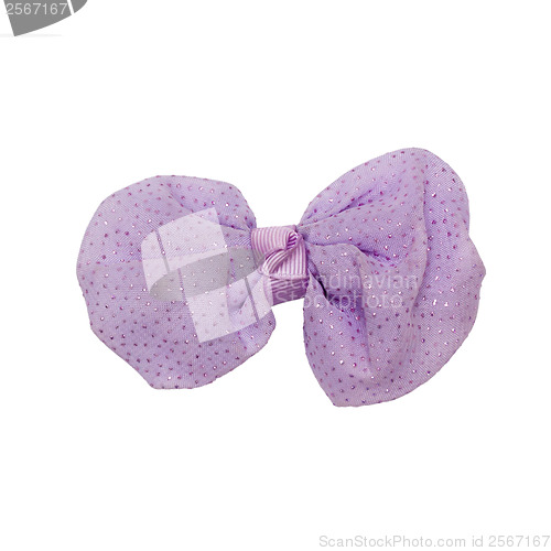 Image of purple bow-tie butterfly bow isolated on white