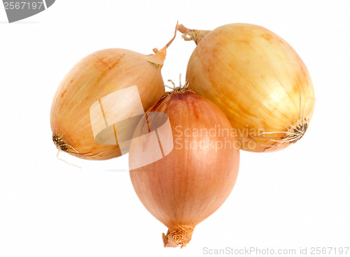 Image of bow isolated on white background