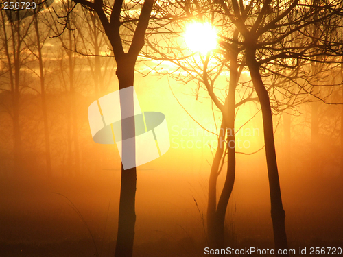 Image of Sunrise on a misty morning