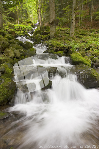 Image of Waterfall in a green forest