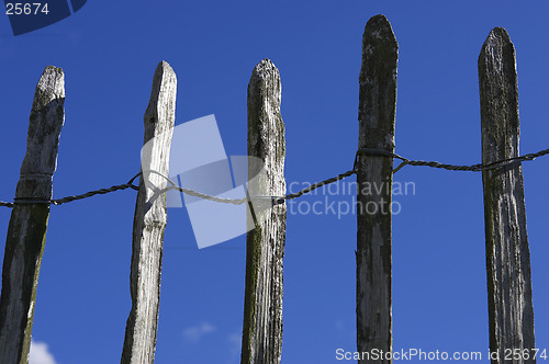 Image of Wooden picket fence