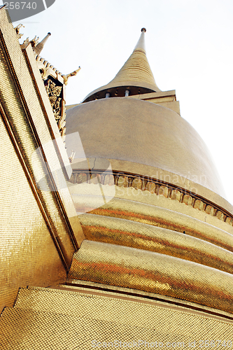 Image of Gold glory.