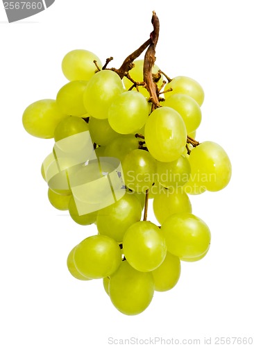 Image of Grapes