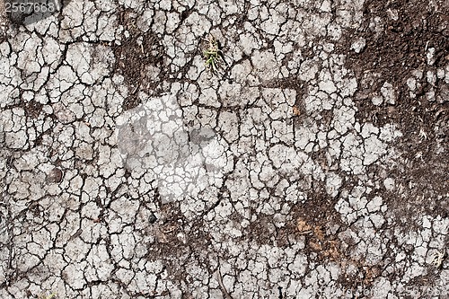 Image of Dry land