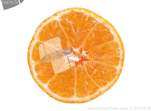 Image of Tangerine