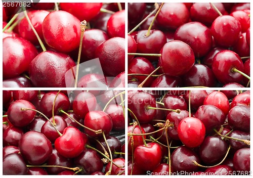 Image of Cherry