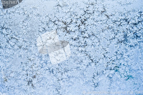 Image of Frost pattern