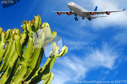 Image of Plane and tropical destination