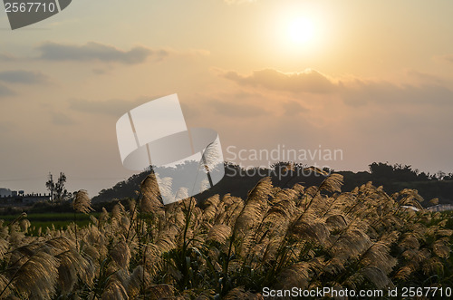 Image of Okinawa morning