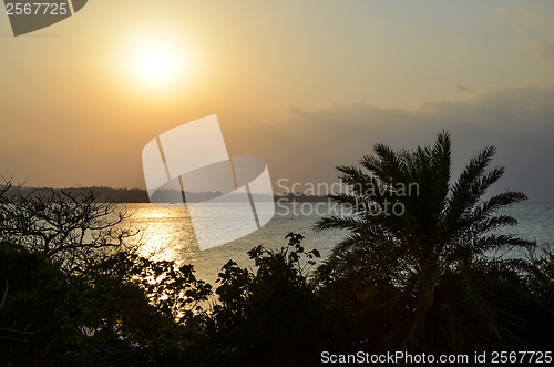 Image of Tropical sunset