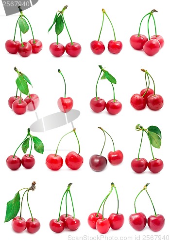 Image of Cherry