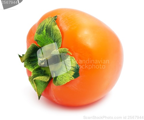 Image of Persimmon