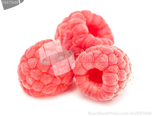 Image of Fresh raspberries