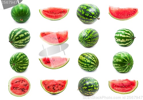 Image of Watermelon