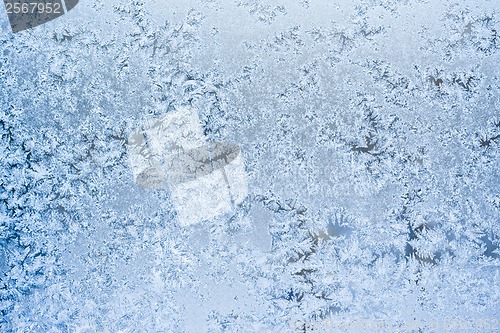 Image of Frost pattern