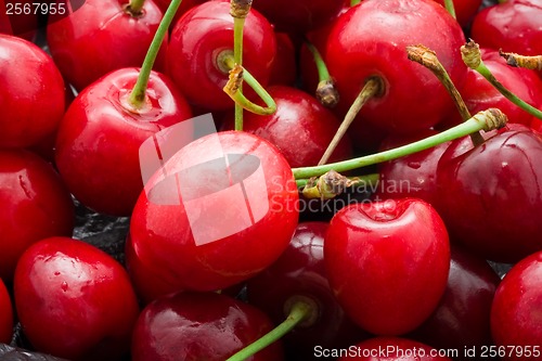 Image of Red cherry