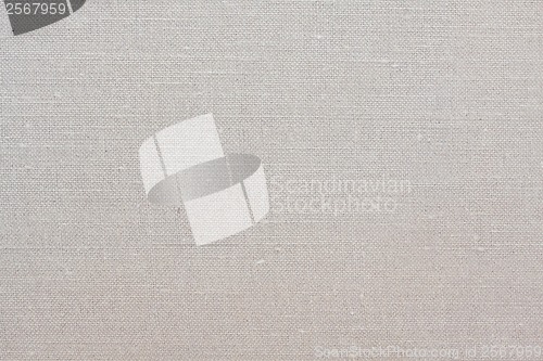 Image of Canvas background