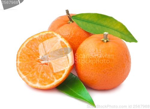 Image of Tangerines