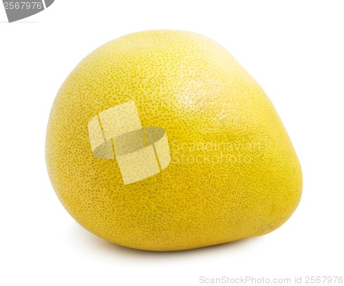 Image of Pomelo