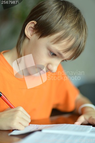 Image of Pleasant boy at home