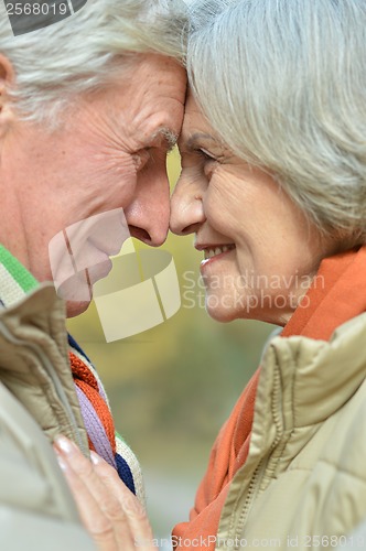 Image of Senior couple in autumn park
