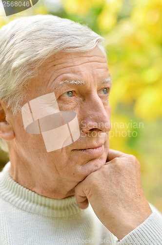 Image of Thinking senior man