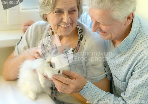 Image of Senior couple with a rabbit