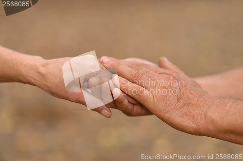 Image of Hands against the fallen