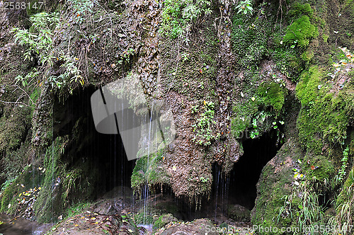 Image of Grotto in the Rock in the Fall